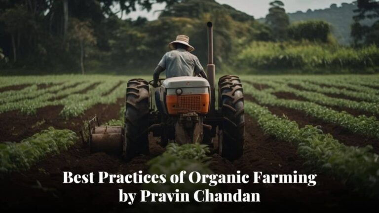 Pravin Chandan’s Best Practices of Organic Farming Done in India to Maximizing Yield